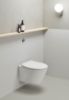 Picture of Wall-hung wc 981611 modo, gsi, rimeless swirlflush, with concealed rapid-fixture system fisr2 for wc and bidet, lucido bianco