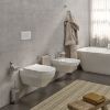 Picture of Toilet brush holder 69331300100 colorado, gedy, floor standing, cromo