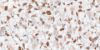 Picture of Floor tile charm pink, marble effect, matt, 60x120