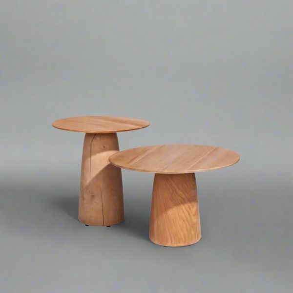 Picture of Coffee table, coral, teak natural, d.60x40cm