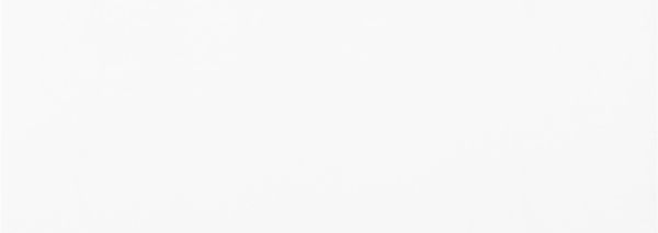 Picture of Floor tile at.mate blanco, matt finish, 25x70cm, ECO