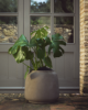 Picture of Lira planter