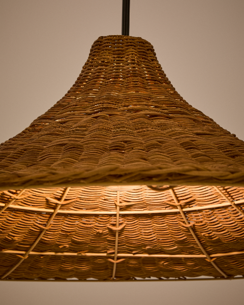 Picture of Bladia ceiling lamp