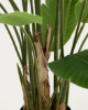 Picture of Banana artificial