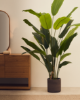 Picture of Banana artificial