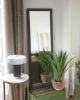 Picture of Yucca artificial plant