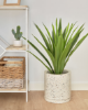 Picture of Yucca artificial plant