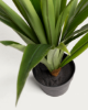 Picture of Yucca artificial plant