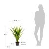 Picture of Yucca artificial plant