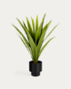 Picture of Yucca artificial plant