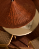 Picture of Bladia ceiling lamp