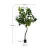 Picture of Ficus artificial