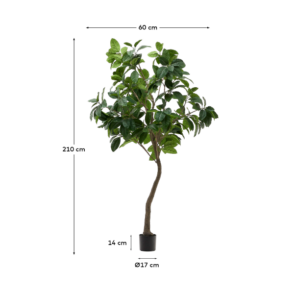 Picture of Ficus artificial