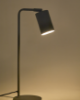 Picture of Manie lamp