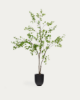 Picture of Enkianthus artificial