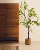 Picture of Enkianthus artificial