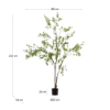 Picture of Enkianthus artificial