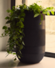 Picture of Tival vase